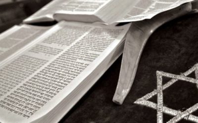 Libri in ebraico e dove trovarli